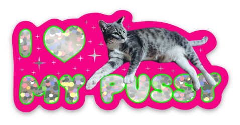 i heart my pussy sticker